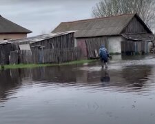 Сотні будинків пішли під воду: кадри масштабної НП в Україні