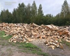 в Житомирской области будут судить группу лиц за незаконную добычу песчаника