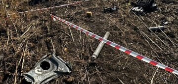 Авіакатастрофа в Донецькій області