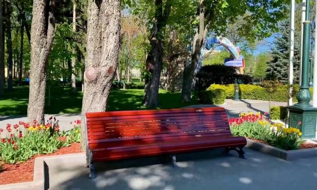 прогноз погоды на неделю с 24 по 30 апреля в Запорожье