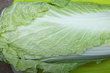 пекинская капуста