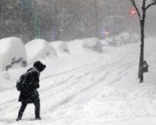 Снежная стихия нанесла удар по Одесчине, дороги заблокированы: кадры разрушений