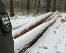 Держекоінспекція