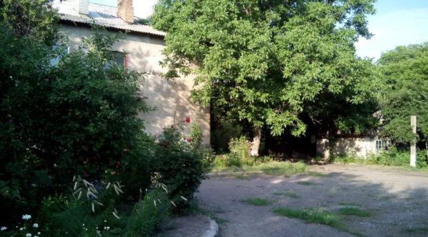 3Lr0Aw8CVwvJ3qvg0kqGbvwuHPh04bTn36uXT3XL