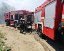 Масштабна пожежа охопила завод в Одесі: десятки рятувальників підняті по тривозі, відео