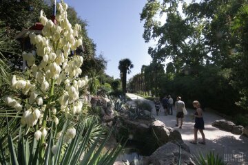 Никитский ботанический сад Ялта Крым