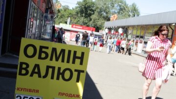 НБУ массово скупает доллар, что будет с курсом валют в Украине: «В четыре раза увеличил…»