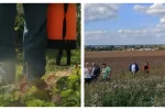 У людей погорел урожай: украинскую землю обработали жуткими химикатам, кадры