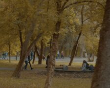 Прогноз погоди у Харкові на тиждень з 19 по 25 листопада