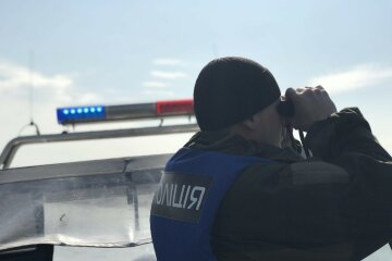 полиция, поиски