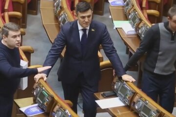 тищенко слуга народа рада нардепы