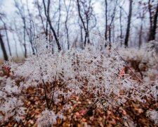 Зима відмовляється відпускати Дніпро, мороз накриє область: коли чекати непогоди