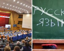 Русский язык лишили статуса регионального в еще одной области: детали нового решения суда