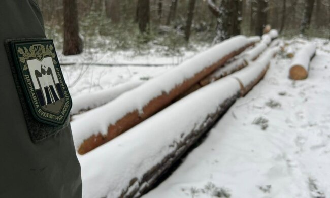 Госэкоинспекция