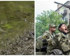 Донбасс сотрясло экологическое бедствие из-за боевиков: "стали стремительно..."