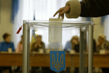 выборы