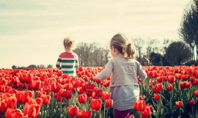 Погода в Одесі: на вихідних температура злетить до річних показників