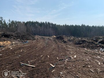 Ущерб окружающей среде на 1,6 миллиона: в Житомирской области лесной филиал засорил землю и должен заплатить