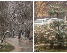 Березень розбушувався: у мережі показали кадри несподіваного снігового "сюрпризу" в Одесі