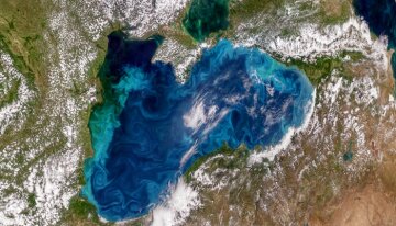 Залишилося всього 15 років: Чорне море на межі екологічної катастрофи