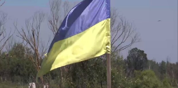 Чоловік посривав у прапори України та пішов продавати їх на місцевому ринку: яке покарання йому загрожує
