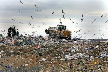 экология, катастрофа, мусор