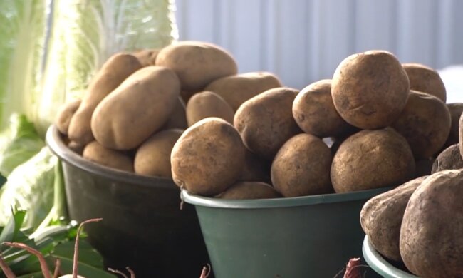 Дефіцит продуктів у Дніпрі