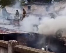 Виносили з вогню тварин: в Одесі спалахнула пожежа в притулку, кадри НП