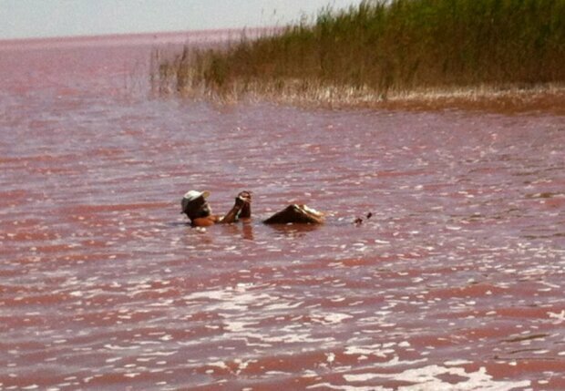 - В Україні виявили цілюще озеро (Politeka) - rai.ua