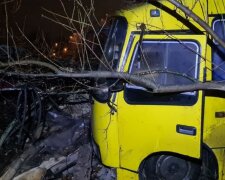 У Києві п'яний водій "Богдана" збив велосипедиста: кадри наслідків ДТП