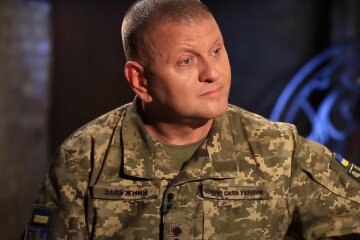 залужный