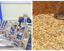 "Миші зголодніли": у Кабміні придумали, як витратити мільйони після "зникнення" зерна в Держрезерві