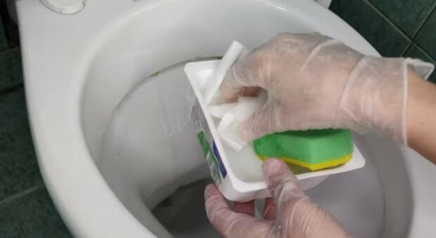 ����: politeka.net