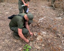Звалище посеред міста та мільйонні збитки: екоінспектори підбили підсумки тижневих рейдів
