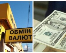 Євро і долар пішли у відрив, чи треба бігти в обмінники і що буде з курсом: "українцям варто..."