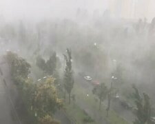 В Одессе бушует непогода, повалены столбы и перекрыто движение: кадры