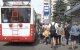 подорожчання проїзду у Луцьку