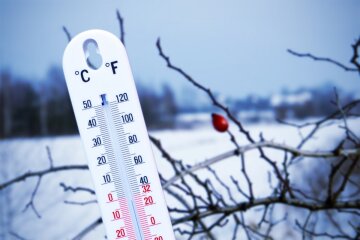 термометр в снегу