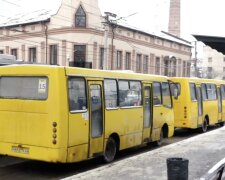 Новый график движения транспорта в Тернопольской области