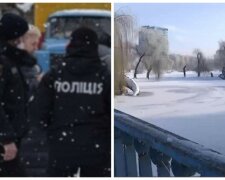 "Бідні тварини": собак масово потравили в Києві, шукають свідків