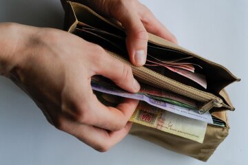 деньги, гривны, кошелек