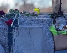 Знайдено три тіла: подробиці і фото з місця трагедії під Києвом