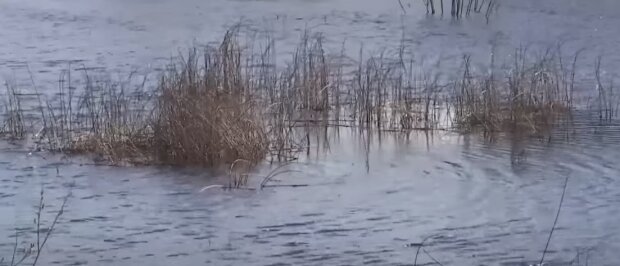 vLMlF5WKJMyh3LCoraXIaXb1jN8gKxXPYpjziiXF