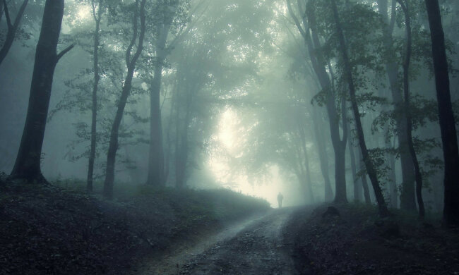 призрак, туман