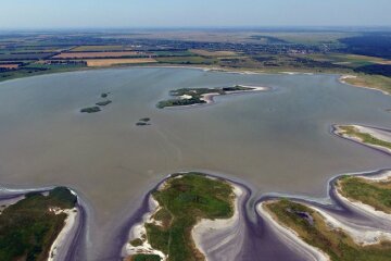 Не гірше Мертвого моря і Трускавця: дніпряни розповіли про свій унікальний лікувальний курорт, фото