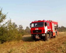 Житель Одещини безслідно зник у лісі: рятувальники прочісують кожен метр