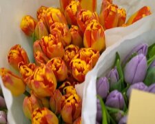 Подорожчання квітів в Києві, 8 березня