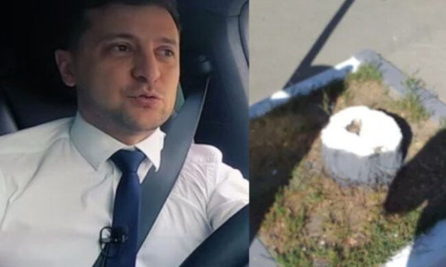 "Фарбують навіть пеньки": на Харківщині "по-особливому" зустрічають Зеленського, кадри