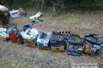 З Чорнобиля вивозять радіоактивний "урожай" сотнями кг, фото: українців попередили