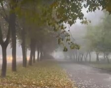 осень, туман, погода
